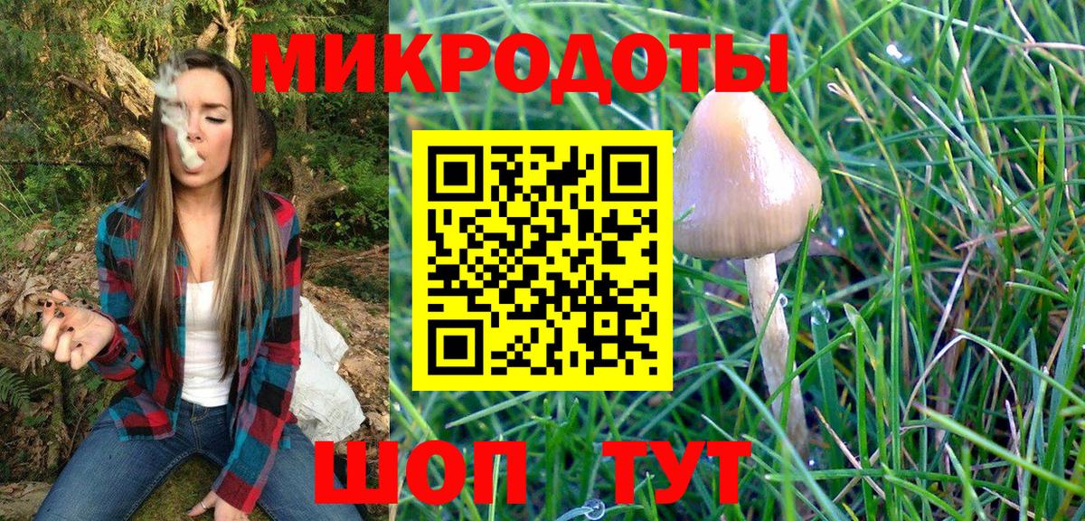 Галлюциногенные грибы GOLDEN TEACHER  Вход с VPN  Дальнереченск 
